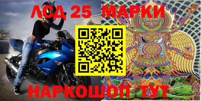 Альфа ПВП Малгобек