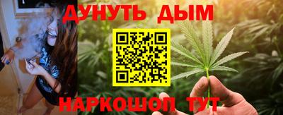 Альфа ПВП Малгобек
