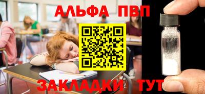 гашик Моздок
