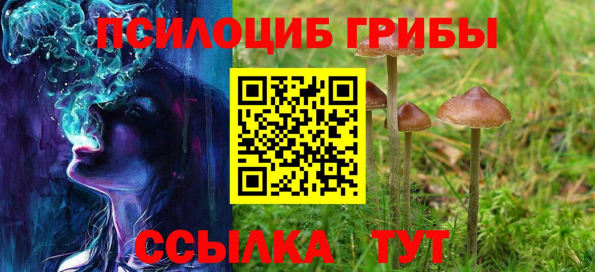 Псилоцибиновые грибы GOLDEN TEACHER  Вход с VPN  Галлюциногенные грибы Psilocybine cubensis  Шарыпово 